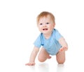 Cute cheerful crawling baby boy Royalty Free Stock Photo