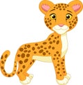 Cute cheetah cartoon Royalty Free Stock Photo