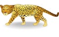 Cute cheetah cartoon