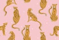 Cute cheetah pink pattern. Animal background