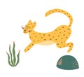 Cute cheetah print. Running cheetah isolated animal. Wild cat illustration. Graphic safari big jungle cat Royalty Free Stock Photo