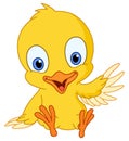 Cute chick Royalty Free Stock Photo