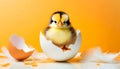 Cute Chick in a Broken Eggshell on a Yellow Background - Generative Ai