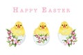 Cute chick in cracked egg shell with spring flower Easter decor set. Watercolor illustration. Hand drawn small chicken Royalty Free Stock Photo