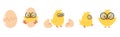 Cute chick hatching egg Cartoon vector set Royalty Free Stock Photo