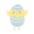 Cute chick hats from an Easter egg, vector flat illustration Royalty Free Stock Photo