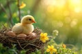 Cute chick in a nest with pastel Easter eggs. Generate ai