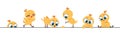 Cute chicken border. Funny baby chick, little flat characters frame design for greeting cards. Vector background with