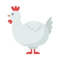 Cute chicken cartoon bird. Royalty Free Stock Photo