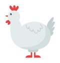 Cute chicken cartoon bird Royalty Free Stock Photo