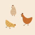 Cute chicken cartoon. Cute chickens set. Funny hens and roosters walking, standing isolated elements