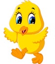 Cute chicken cartoon