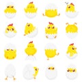 Cute chicken in egg. Easter baby chick, newborn chickens in eggshell and farm kids chicks isolated cartoon vector illustration set Royalty Free Stock Photo