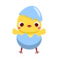 Cute chicken egg hatching. Cartoon funny chick. Isolated Easter character