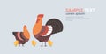 Cute chicken family cartoon hen cock and chick domestic birds animals poultry farm concept flat horizontal copy space