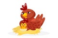 Cute chicken family character on white background