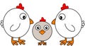 Cute chicken family isolated on white Royalty Free Stock Photo