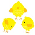 Cute chicken sets Royalty Free Stock Photo