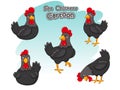 Cute Chickens Cartoon Characters Set. Vector illustration With Cartoon Funny Animal Frame Royalty Free Stock Photo