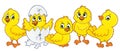 Cute chickens topic image 1
