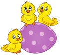 Cute chickens topic image 6