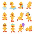 Cute chicks. Cartoon yellow ducks. Baby duck vector set