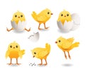 Cute chicks set. Little cute yellow bird in cracked egg. Baby of chicken. Farm vector illustration Royalty Free Stock Photo