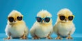 Cute Chicks With Sunglasses On Blue Background