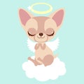 Cute chihuahua angel on the cloud. Funny sticker for a gift. Character for birthday or valentine`s day.
