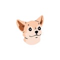 Cute Chihuahua avatar. Funny muzzle of toy breed puppy. Small dog face. Adorable pup snout portrait. Domestic animal Royalty Free Stock Photo