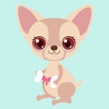 Cute chihuahua with a bone gift. Funny sticker for a gift. Character for birthday or valentine`s day.