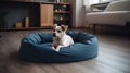 Cute chihuahua dog in blue beanbag at home
