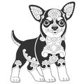 Cute chihuahua dog design