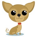 Chihuahua puppy cute little dog vector Royalty Free Stock Photo