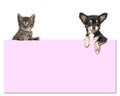 Cute chihuahua dog and a tabby baby cat holding a pink paper board Royalty Free Stock Photo