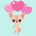 Cute chihuahua flying on balloons - hearts. Funny sticker for a gift. Character for birthday or valentine`s day.