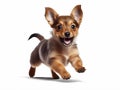Cute chihuahua puppy running isolated on a white background, Generative AI illustrations