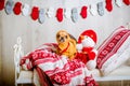 A cute chihuahua in a reindeer costume with large eyes Royalty Free Stock Photo