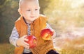 Cute child (baby boy) with two red apples in the sunny autumn (fall) day. Kid eating healthy food, snack. Royalty Free Stock Photo