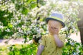 Cute child, baby boybaby laughs covering his face with his hand in blooming garden, springtime Royalty Free Stock Photo