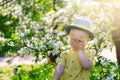 Cute child, baby boybaby laughs covering his face with his hand in blooming garden, springtime Royalty Free Stock Photo