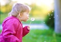 Cute child blow dandelion outdoor