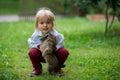 Cute child, boy, playing with little brown kitten in the park Royalty Free Stock Photo