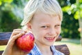 Cute child choosing red apple for a snack