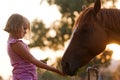 Cute child feeding her handsome horse Royalty Free Stock Photo