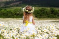 Cute child girl at camomile field Royalty Free Stock Photo