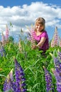 Cute child girl collects summer lupine flowers