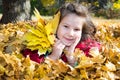 Cute child girl playing with fallen leaves in autumn Royalty Free Stock Photo