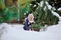 Cute child girl playing in winter snowy garden with basket of fir branches Royalty Free Stock Photo