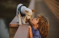 Cute child kissing puppy. Puppies dod playing. Royalty Free Stock Photo